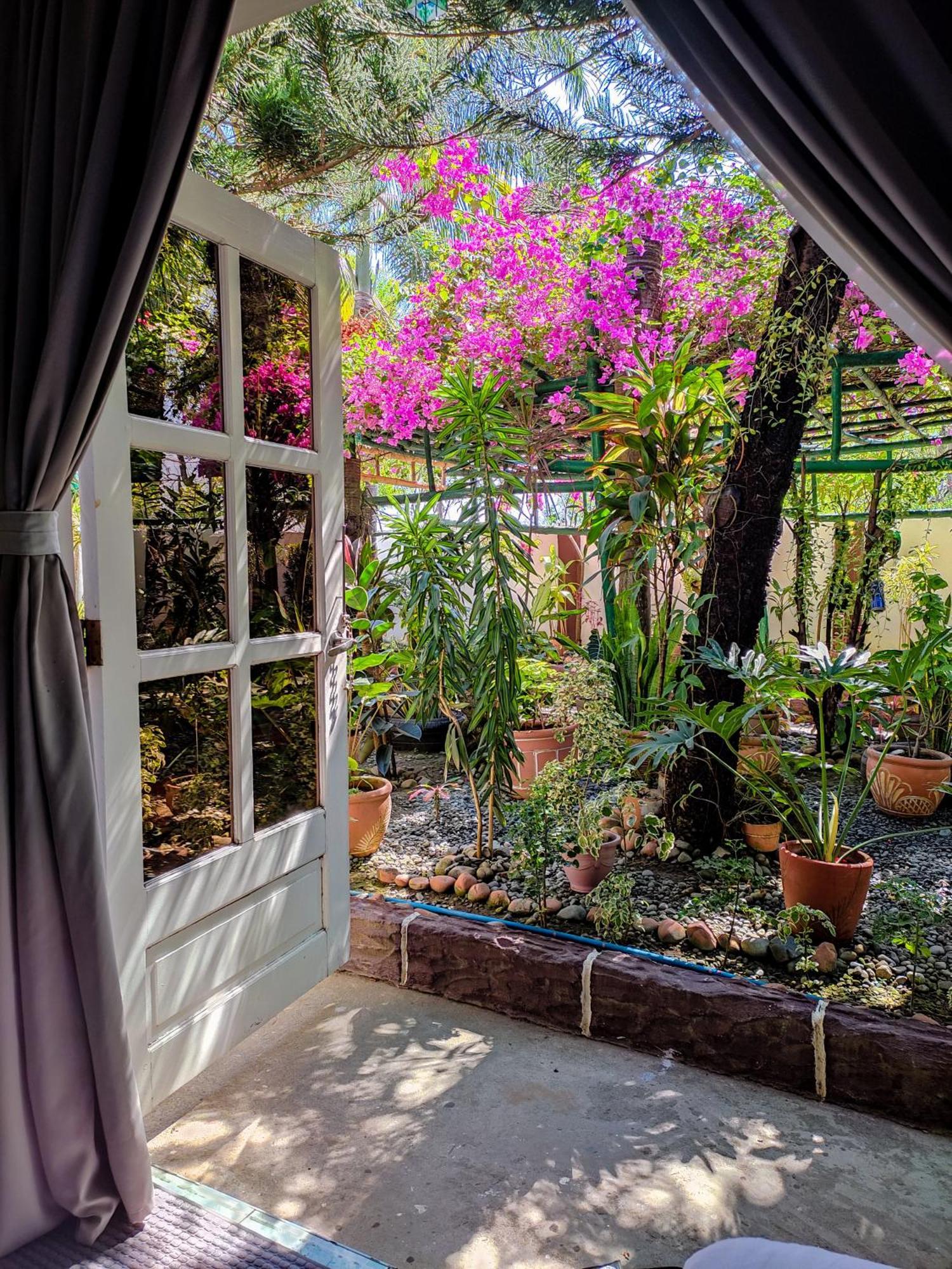 Olana Bed&Breakfast Labrador Exterior foto